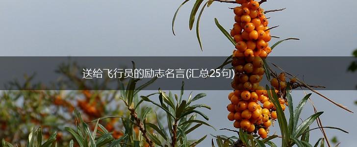 送给飞行员的励志名言(汇总25句),第1张