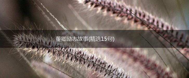 董卿励志故事(精选15句),第1张