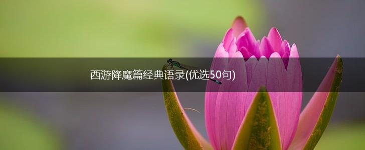 西游降魔篇经典语录(优选50句),第1张