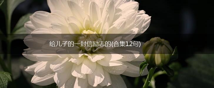 给儿子的一封信励志的(合集12句),第1张 给儿子的一封信励志的(合集12句),第1张