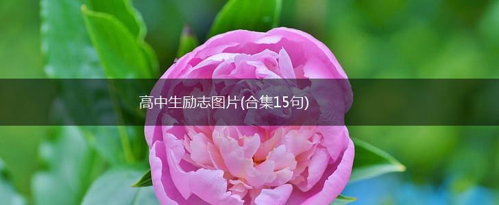 高中生励志图片(合集15句),第1张