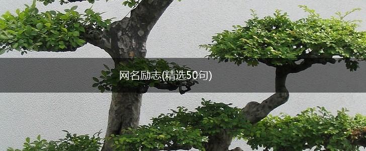 网名励志(精选50句),第1张