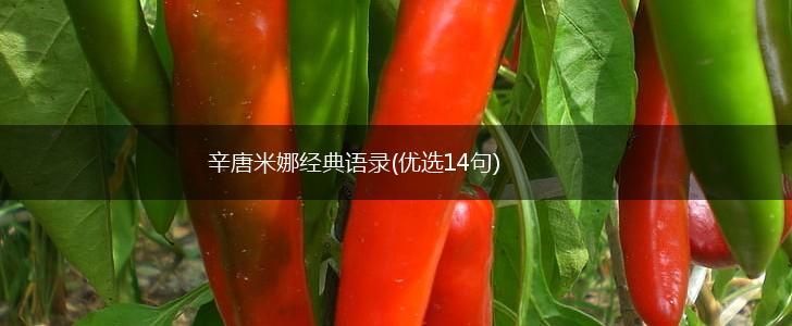 辛唐米娜经典语录(优选14句),第1张