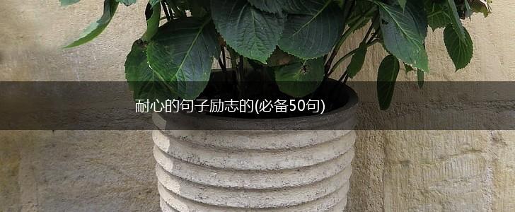耐心的句子励志的(必备50句),第1张 耐心的句子励志的(必备50句),第1张