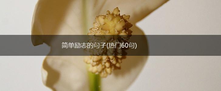 简单励志的句子(热门60句),第1张