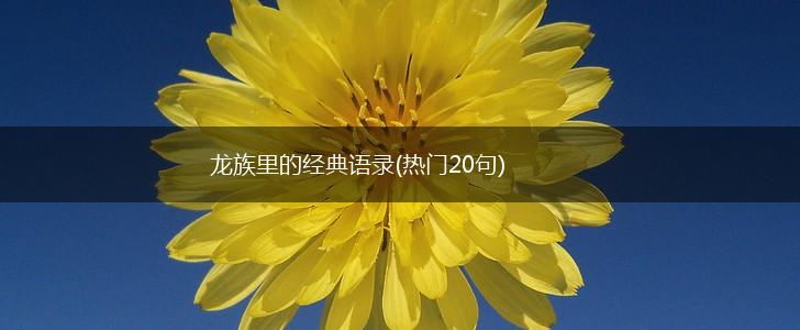 龙族里的经典语录(热门20句),第1张