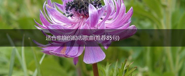 适合串烧的励志歌曲(推荐85句),第1张