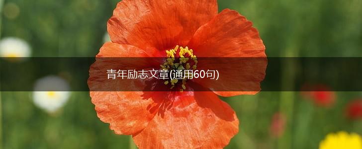 青年励志文章(通用60句),第1张