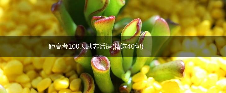 距高考100天励志话语(精选40句),第1张