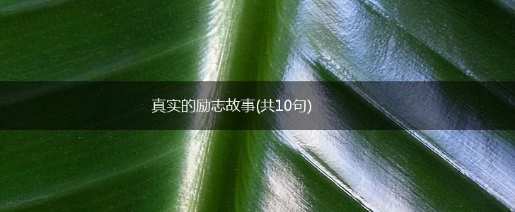 真实的励志故事(共10句),第1张