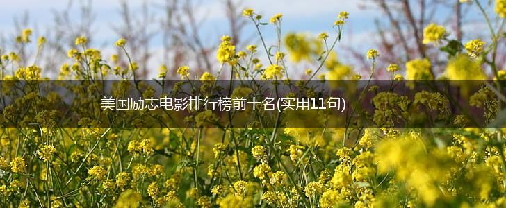 美国励志电影排行榜前十名(实用11句),第1张 美国励志电影排行榜前十名(实用11句),第1张