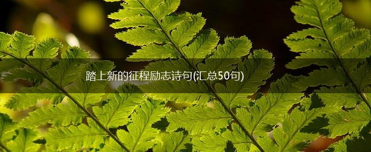 踏上新的征程励志诗句(汇总50句),第1张