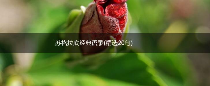 苏格拉底经典语录(精选20句),第1张