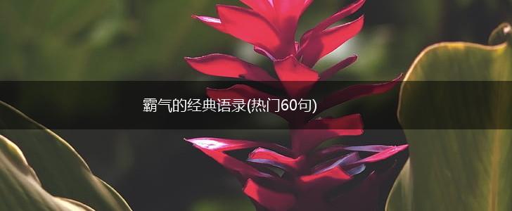 霸气的经典语录(热门60句),第1张