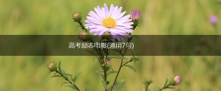 高考励志电影(通用7句),第1张