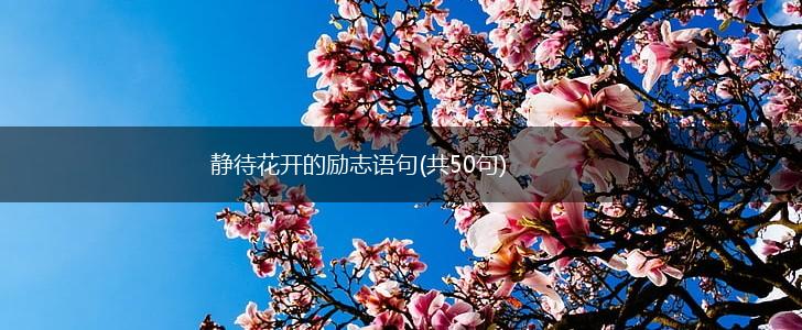 静待花开的励志语句(共50句),第1张