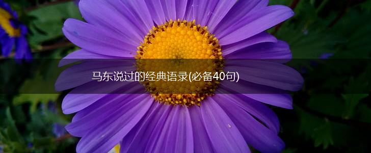 马东说过的经典语录(必备40句),第1张