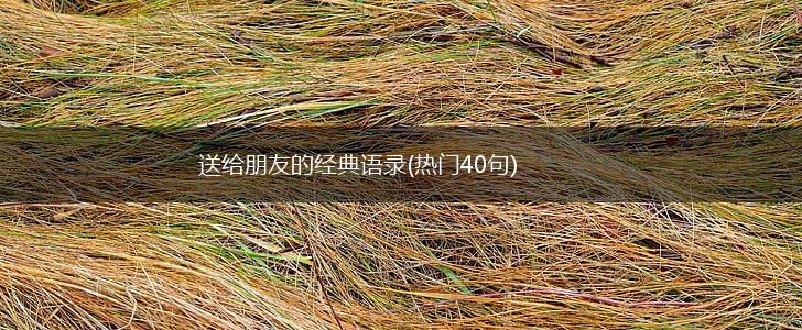 送给朋友的经典语录(热门40句),第1张