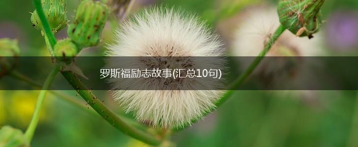 罗斯福励志故事(汇总10句),第1张
