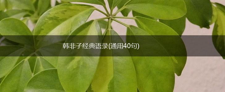 韩非子经典语录(通用40句),第1张