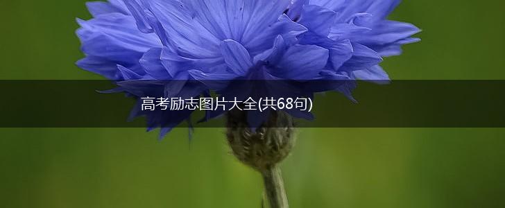 高考励志图片大全(共68句),第1张