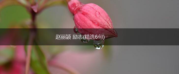 赵丽颖 励志(精选6句),第1张