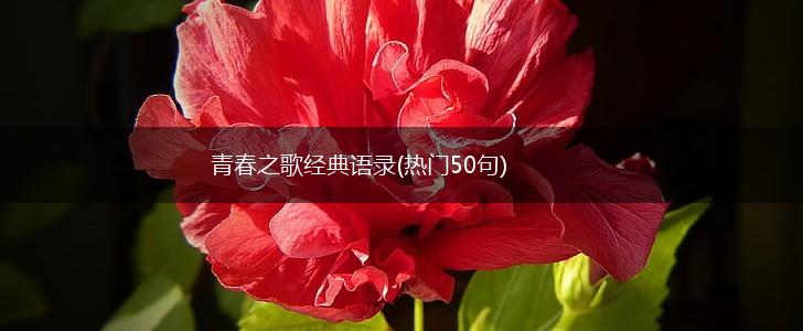 青春之歌经典语录(热门50句),第1张 青春之歌经典语录(热门50句),第1张