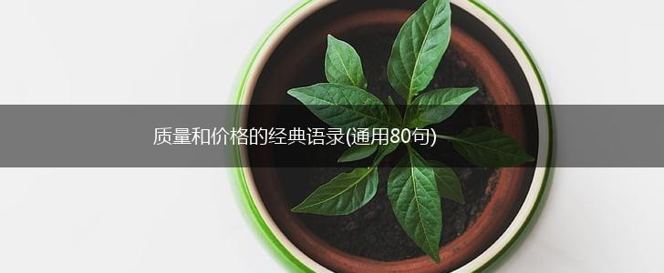 质量和价格的经典语录(通用80句),第1张
