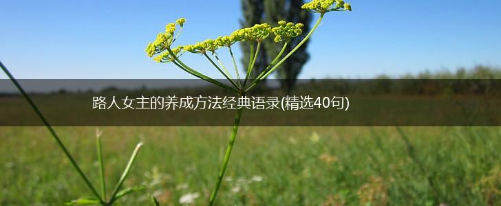 路人女主的养成方法经典语录(精选40句),第1张 路人女主的养成方法经典语录(精选40句),第1张