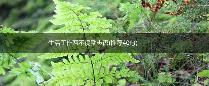 生活工作两不误励志语(推荐40句),第1张