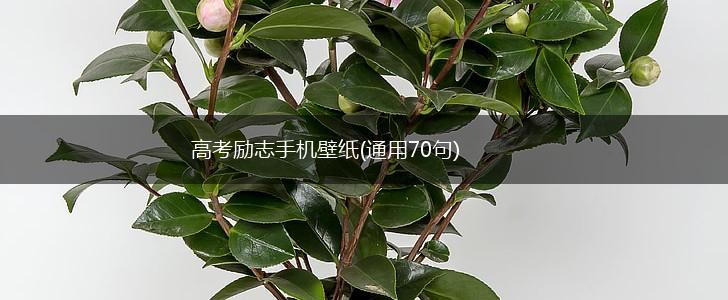 高考励志手机壁纸(通用70句),第1张