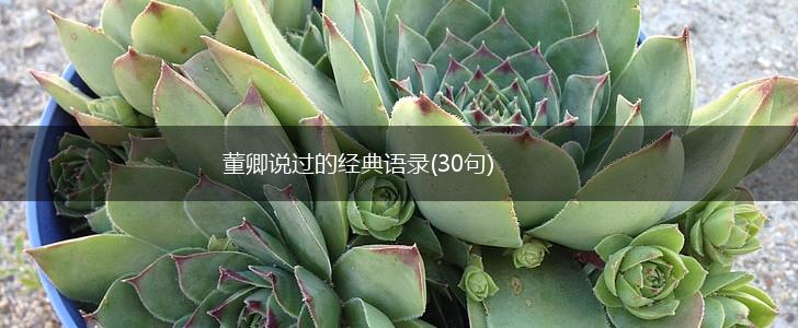 董卿说过的经典语录(30句),第1张