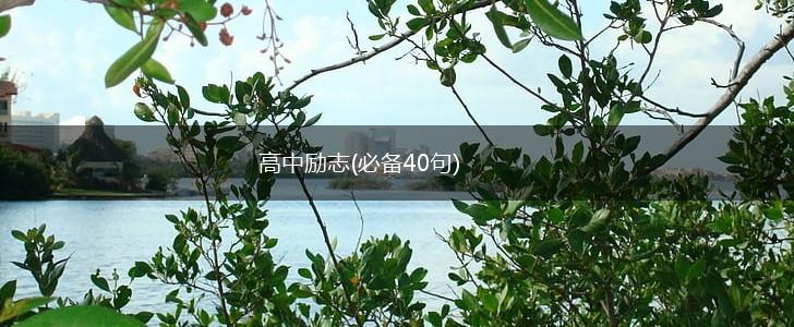 高中励志(必备40句),第1张