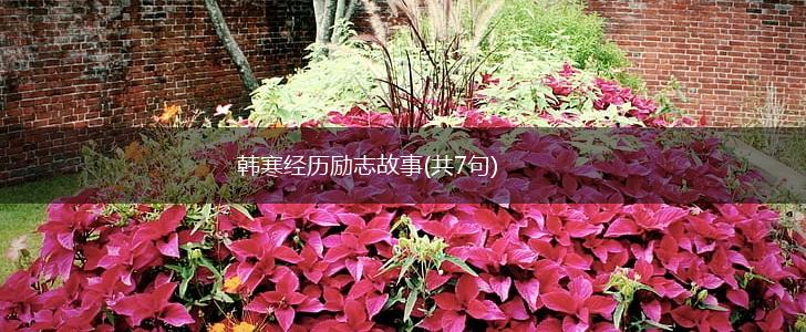 韩寒经历励志故事(共7句),第1张