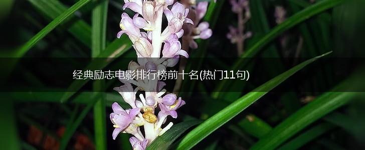 经典励志电影排行榜前十名(热门11句),第1张