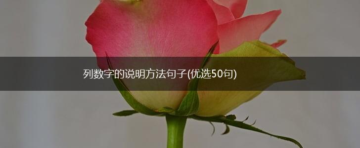 列数字的说明方法句子(优选50句),第1张
