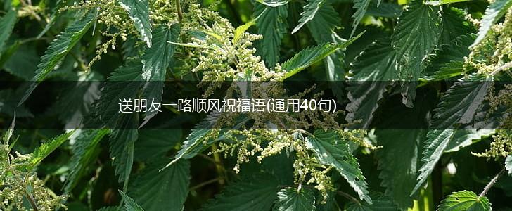 送朋友一路顺风祝福语(通用40句),第1张
