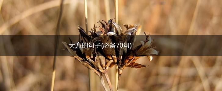 大方的句子(必备70句),第1张