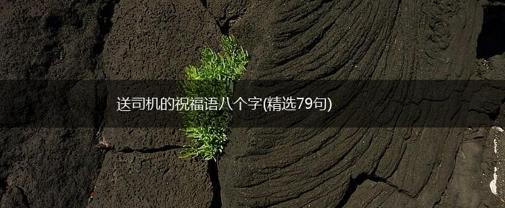 送司机的祝福语八个字(精选79句),第1张 送司机的祝福语八个字(精选79句),第1张