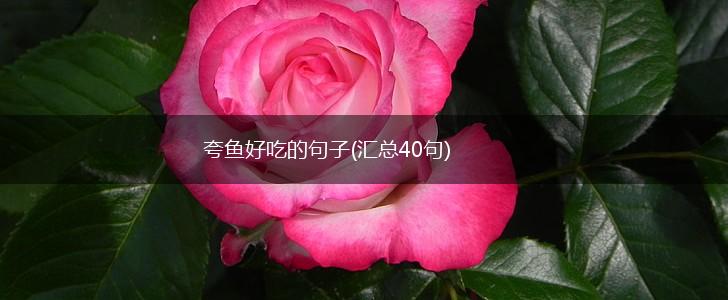 夸鱼好吃的句子(汇总40句),第1张