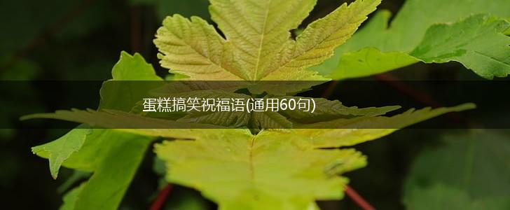 蛋糕搞笑祝福语(通用60句),第1张