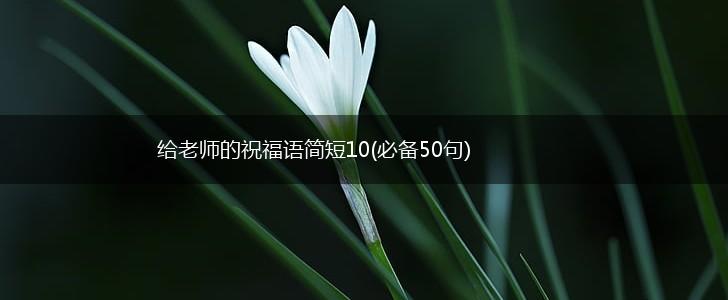 给老师的祝福语简短10(必备50句),第1张