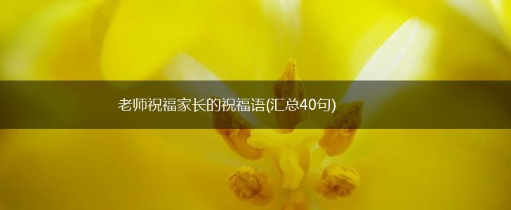 老师祝福家长的祝福语(汇总40句),第1张 老师祝福家长的祝福语(汇总40句),第1张