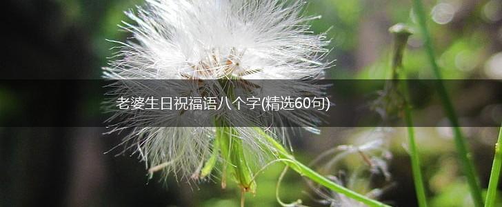 老婆生日祝福语八个字(精选60句),第1张