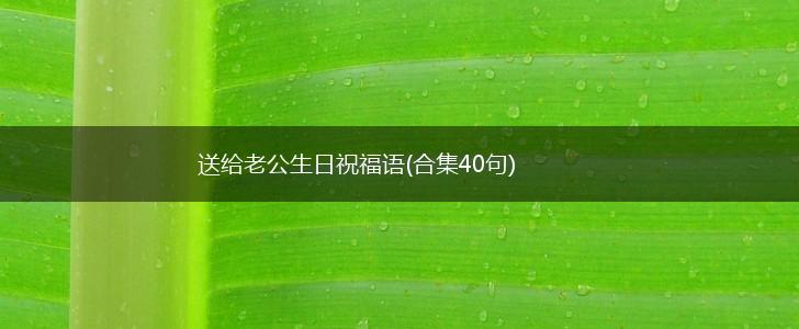 送给老公生日祝福语(合集40句),第1张