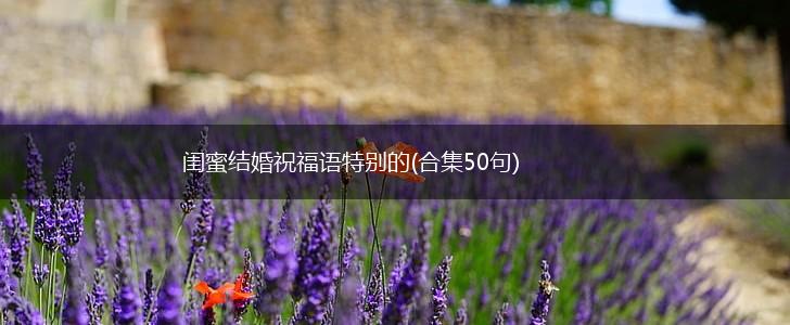 闺蜜结婚祝福语特别的(合集50句),第1张