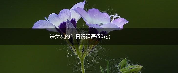 送女友的生日祝福语(50句),第1张 送女友的生日祝福语(50句),第1张