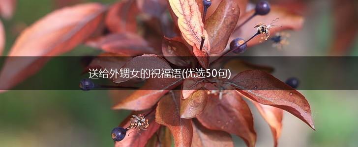 送给外甥女的祝福语(优选50句),第1张