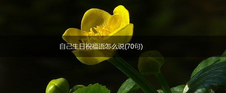 自己生日祝福语怎么说(70句),第1张