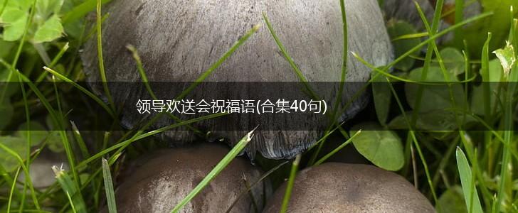 领导欢送会祝福语(合集40句),第1张